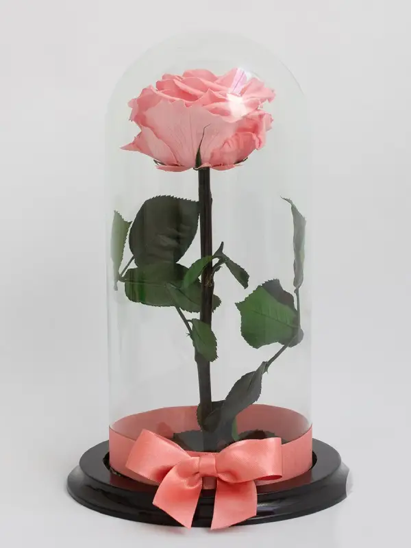 Flores Floristería Itagüí 109